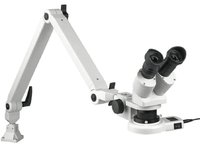 Auflicht-Stereo-Mikroskop